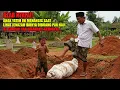 Download Lagu Makam Ibunya Dibongkar dan Jasad Dibuang ke Sungai oleh Pak Haji