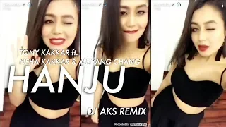 HANJU (DJ AKS REMIX) - Tony Kakkar ft Neha Kakkar, Meiyang Chang