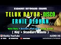 Download Lagu TELUK BAYUR ERNIE DJOHAN KARAOKE DISCO REMIX NADA WANITA | Shahia Youtube
