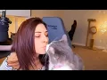 The Alinity Effect