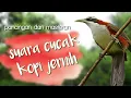 Download Lagu masteran cak kopi suara jernih untuk pancingan macet bunyi