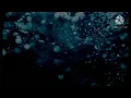 Sena Kana -- Up ft wiz Khalifa & Sheppard
