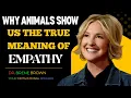 Why Animals Show Us the True Meaning of Empathy Brene Brown Best Speech
