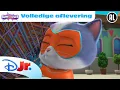 Download Lagu 👢 De Grote Laars | Super Katjes | Volledige Aflevering | Disney Junior België-Nederland