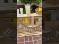 A new tradition for your family this summer DIY LEMONADE STAND