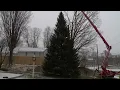 Group of Yarmouth residents finds community Christmas tree through Facebook Marketplace