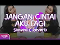 Download Lagu iMeyMey - Jangan Cintai Aku Lagi (Slowed \u0026 Reverb)