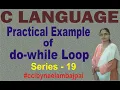 Practical example of do while Loop in C Language Example of do while on system by Neelam Bajpai