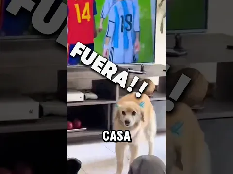 Este fue el momento más triste del mundial #FIFAWorldCup #mundial2026 #fútbol