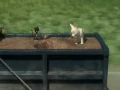 Download Lagu Bolt -- Barking At The Moon