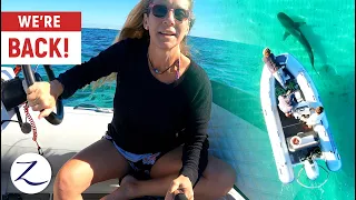 CHASING SHARKS and HUNTING LOBSTER in AUSTRALIA! Our Adventure Continues… (Ep 159)