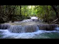 Lagu Waterfall Gentle Stream Sound in forest 24/7. Waterfall Sounds, Flowing Water, White Noise for Sleep