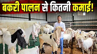 70 बकरियों से लाखों की कमाई! ऐसे करते हैं बकरी पालन