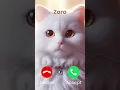 Lagu Zara is calling #cat #ringtone #funny #fun