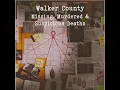 Unforgotten Walker County Unsolved Missing Murdered Suspicious Death Cases - Part 1