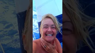 Magical Dolphin Encounter at Sea #shorts