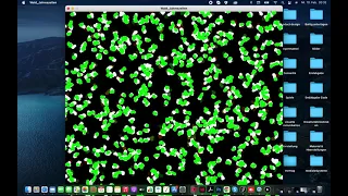 Processing - Jahreszeiten Random Walker