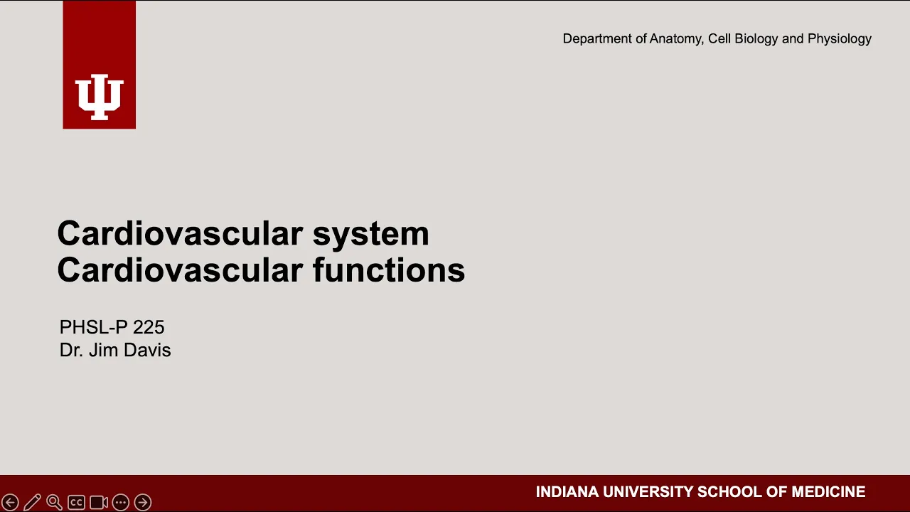 PHSL-P 225 - Cardiovascular system - Functions