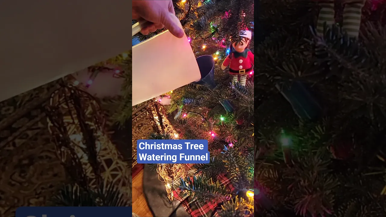 Christmas Tree Watering Funnel video thumbnail