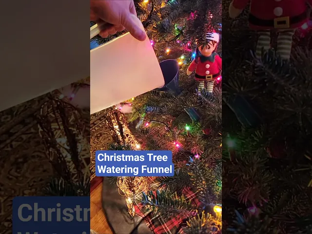 Christmas Tree Watering Funnel video thumbnail