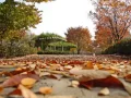 Download Lagu Autumn in My Heart ost.Endless Love Korean Drama