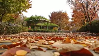 autumn in my heart ost endless love korean drama