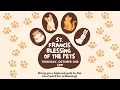 Blessing of the Pets October 2 2025