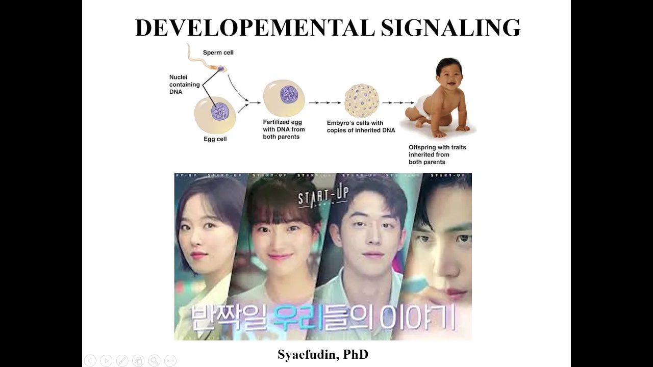 Perbedaan Wajah In-Jae dan Dal-Mi di Start-Up K-Drama | Kuliah Biosinyal | Developmental Signal