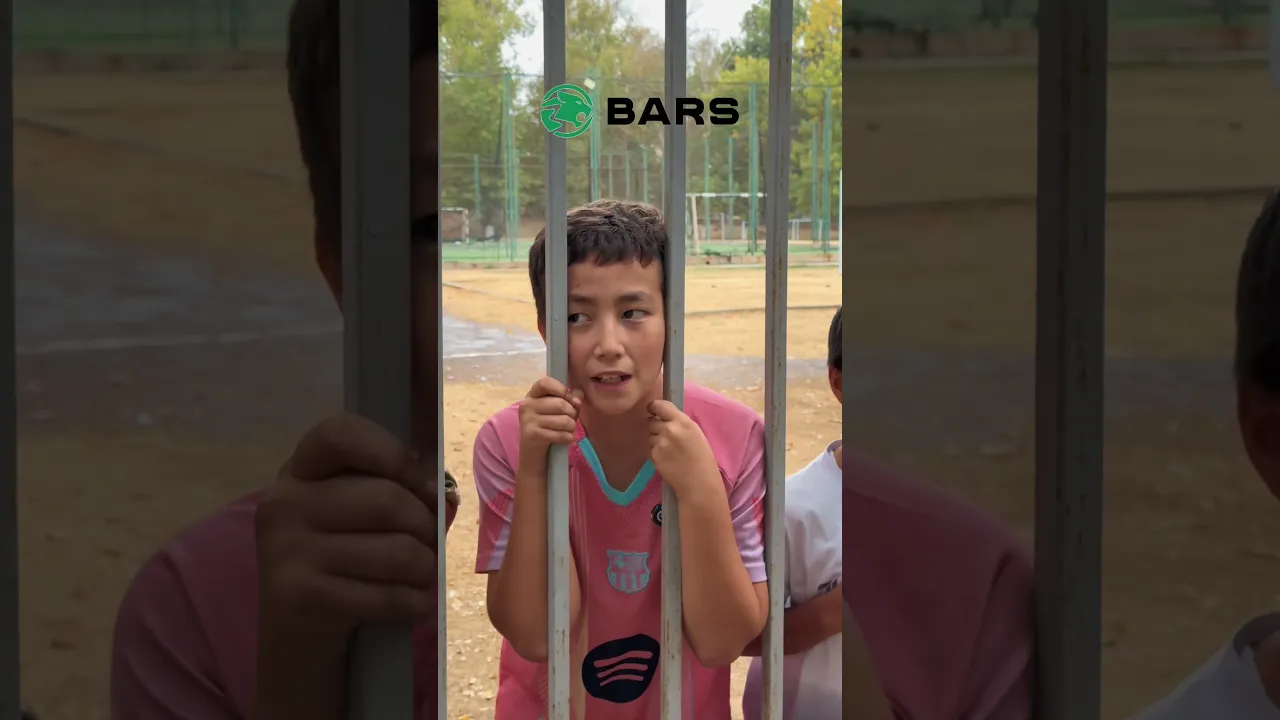 Bars shinalari