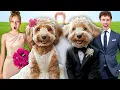 My DOG got MARRIED In Real Life