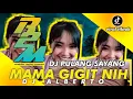 Download Lagu Dj Pulang Sayang Mama Gigit Nih|Dj Tiktok Viral 2022_Alberto R2M