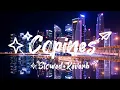 Download Lagu Aya Nakamura - Copines [Slowed+ Reverb]