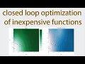 Closed-loop optimization of inexpensive functions