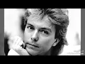David Cassidy - Could It Be Forever 1972