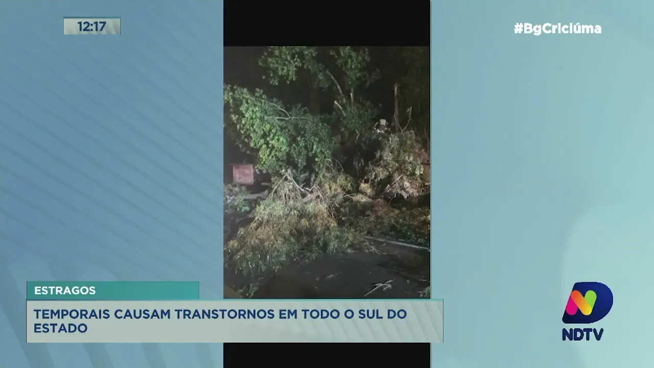 Temporais causam transtornos nas cidades do Sul do Estado