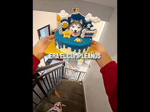 ¡No Quiso Dejar a Ningún Perro sin Pastel! 🥹🐶
