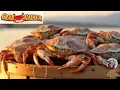 Aunt Mattie T V Presents Crabs from the Crab Galley