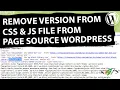 How to Remove Version From Stylesheet CSS and Script JS from Page Source through Plugin in WordPress
