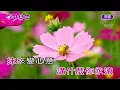 愛情的騙子我問你~陳小雲~女Am調~伴奏~導唱~無live鼓丙