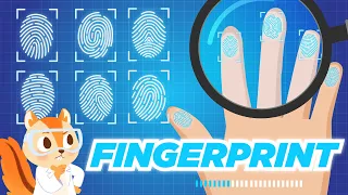 Everything you need to know about FINGERPRINTS Cool Facts Science for Kids