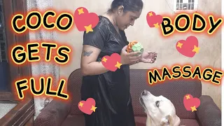 COCO GETS A FULL BODY LOTION MASSAGE🦮😍| WATCH HOW MUM👩‍🦰 PAMPERS COCO🥰😘🥰😘......