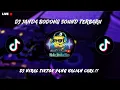 Lagu DJ JANDA BODONG FULL BASS🎵LATEST VIRAL TIKTOK DJ 2025🎵🔊
