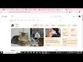 CS50 s Web Programming with Python and JavaScript - Project 0 Submission