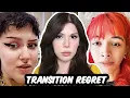 Detransitioners of TikTok The Other Side of the Coin