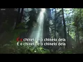 Download Lagu Trio Nordestino  -  Chinelo De Rosinha  -  Karaoke