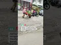 Download Lagu Seorang bapak tua mendorong gerobag yang penuh sayur segar.