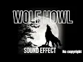 Download Lagu Wolf howl sound effect | night wolf sound | no copyright | free