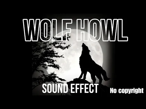 Download MP3 Wolf howl sound effect | night wolf sound | no copyright | free