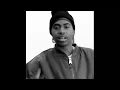 Memory Lane (Sittin' in da Park) - Nas