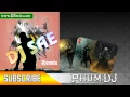 Download Lagu DJ SAE Remix Vol 88 | Music Remix 2015